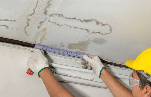 Reliable Water Damage contractor in New Vernon, NJ by Water Damage Irwin